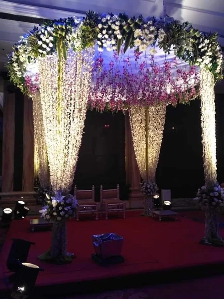 The Venus Events